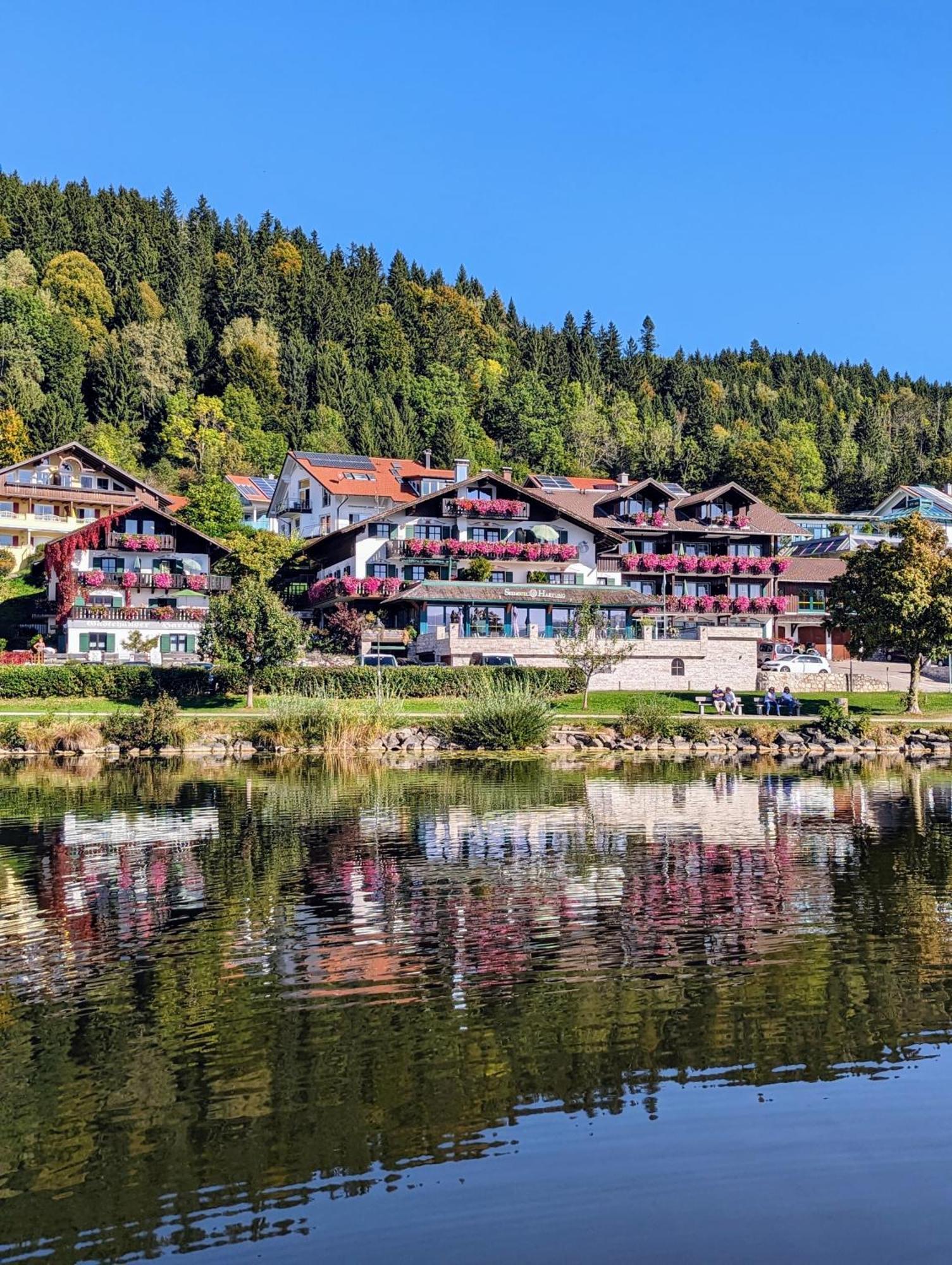 Seehotel Hartung&ferienappartements Hotel